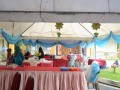 Tn 031 DSC 1393